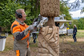 Kettensäger und Schnitzer lassen Späne fliegen: Holzfigurenpfad in Geyer erzählt erzgebirgische Sagen - Inspiriert vom sagenhaften Geldkeller an den Greifensteinen: Heiko Wuttke vom Ehrenfriedersdorfer Schnitzverein.