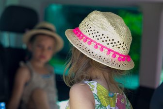 Kind im heißen Auto entdeckt? So sollte man nun handeln - Pralle Sonne und der Innenraum wird zum Backofen: Parkende Autos in der Sonne können sich "innerhalb kürzester Zeit" stark aufheizen – besonders gefährlich für Kleinkinder und Tiere.