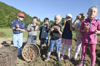Kinder aus dem Vogtland und Böhmen ernten gemeinsam Kartoffeln - 