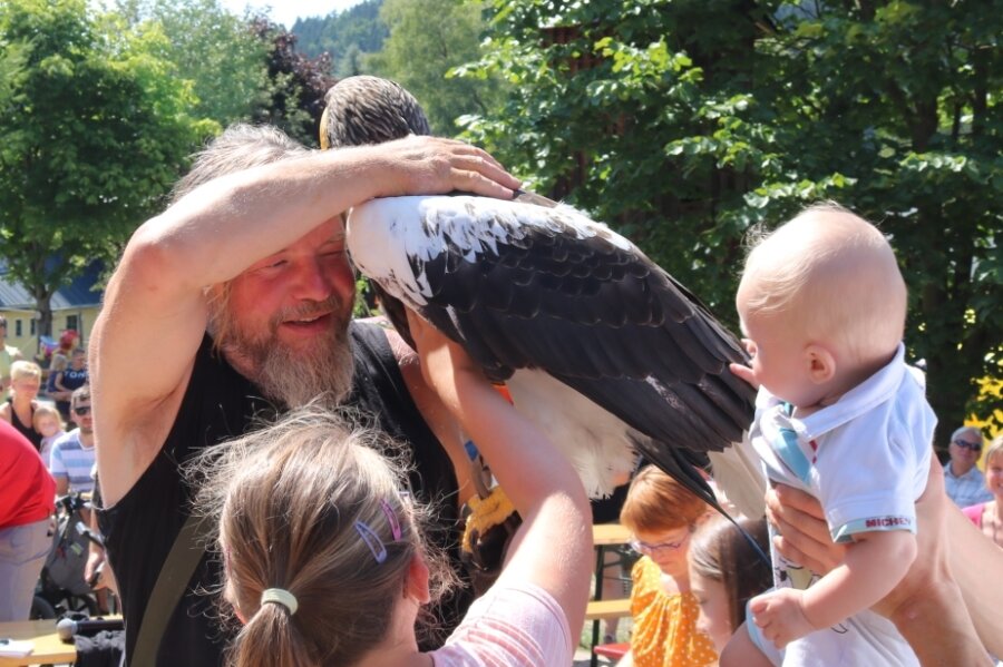 Kinder dürfen Greifvögeln nah kommen - Kinder dürfen beim Tierparkfest den Riesenseeadler von Hans-Peter Schaaf streicheln. 