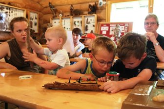 Kinder jagen in Eich den Borkenkäfer - Da müssen die Kinder schon genau hinschauen, um den kleinen Borkenkäfer zu erkennen.