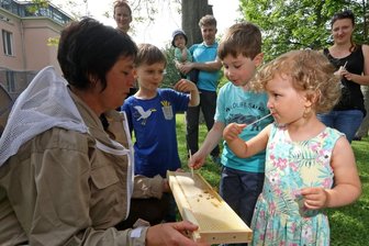 Kinder öffnen die ersten Bienenbeuten -
