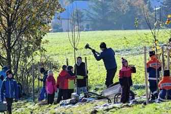 Kinder pflanzen Apfelbäumchen -