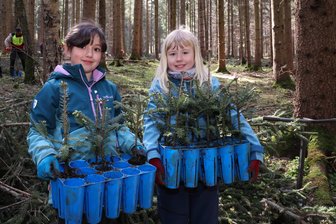 Kinder pflanzen in Wald im Erzgebirge rund 400 Weißtannen - Voller Tatendrang: Ella (l.) und Hanna von der Grundschule Ernst Beyer aus Reinsdorf sorgten im Kommunalwald von Schwarzenberg für Weißtannen-Nachschub.