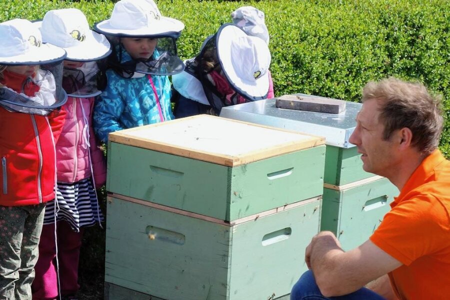 Kinder staunen und lernen: Stadtwerke-Bienen locken zu Erlebnistagen nach Schwarzenberg - Imker Kai Schulze (rechts) erklärte den Kindern, wie die Aufgaben in einem Bienenstock verteilt sind. 
