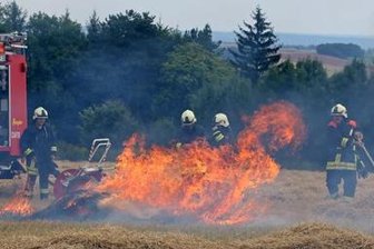 Kinder stecken abgeerntetes Feld in Brand - 