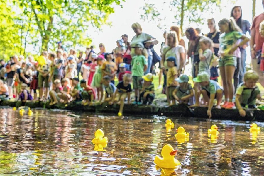 Kinderfest in Auerbach: Familien mögen es entspannt - 95 knallgelbe Quietschetierchen hatten die Stadtmitarbeiter für das Entenrennen organisiert.