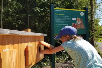 Kinderwanderweg im Test: Was bietet Eckis Naturlehrpfad in Schöneck? - Was fressen Eichhörnchen eigentlich? An der Station von Eckis Speisekarte dürfen Kinder die Dinge fühlen.