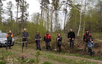 Kirchgemeinde pflanzt Bäume Im Bürgerwald - Mitglieder der Kirchgemeinde Mittweida haben im Bürgerwald Bäume gepflanzt.