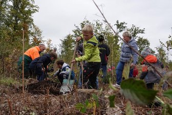 Kita-Kinder forsten ihren Wald wieder auf - 