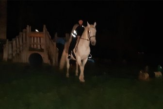 Kleine Prozession: Wie die Muldaer das Martinsfest feiern - Der Reiter gehört traditionell zum Martinsfest in Mulda.