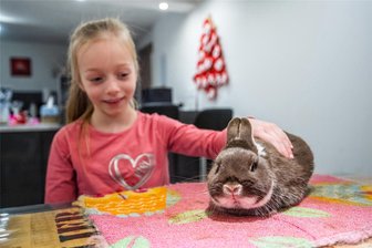 Kleines Mädchen aus dem Erzgebirge wird deutsche Jugendmeisterin bei Bundeskaninchenschau - Merle Riller ist mit sechs Jahren deutsche Jugendmeisterin bei der Bundeskaninchenschau geworden. Eines der Kaninchen, das sie in Leipzig ausstellte, ist Benno.