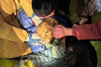 „Kleines Neujahrswunder“: Feuerwehr befreit in Plauen tauben Hund aus Kanalrohr - Rettungsaktion geglückt: Nach zwei Stunden konnte ein kleiner Hund befreit werden.