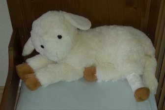 Kleines Plüschtier aus dem Erzgebirge nimmt großen Umweg nach Dresden - Schnucki, das kleine Plüschlamm, war ungewollt auf großer Reise.