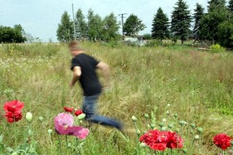 Gartenanlage in Stangengrün 