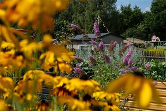 Kleingärtnern in Freiberg: Wie Gartenanlagen ums Überleben kämpfen - Gartenanlage „Glück auf“ in Brand-Erbisdorf