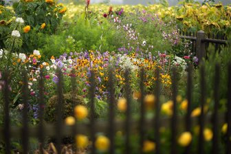Kleinode entdecken: Familienzentrum Plauen lädt während der Sommerferien zur Gartenrunde - So schön und üppig kann ein angelegter Bauerngarten sein.
