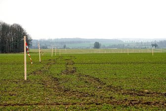 Kleinschirma: Aufbau von zwei Windkraftanlagen soll im 3. Quartal beginnen - Auf dem Feld zwischen Kleinschirma und Kleinwaltersdorf sind Pfähle mit Flatterbändern eingerammt worden, um Vögel und Kleinsäugetiere zu vergrämen. Die Stadtwerke Leipzig wollen hier zwei Windkraftanlagen errichten.