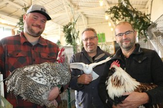 Kleintierschau so vielfältig wie selten: Warum die Weischlitzer Züchter um ihre Jubiläumsschau bangen - Thomas Tschanter (Mitte) freut sich über die zwei Neuen im Verein: Jonas Lex (links) und Vater Silvio Lex aus Oelsnitz.