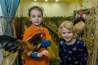 Kleintierzüchter präsentieren in Schnarrtanne, Rebesgrün und Heinsdorfergrund ihre Zuchterfolge - Wachtelfarbige Holländische Zwerghühner haben Emmi und Maxi in Schnarrtanne vorgestellt.