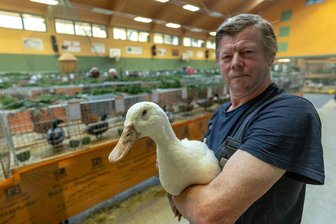 Kleintierzüchterverein Unterheinsdorf lädt zur Lokalschau ein - Reiner Dittes, 1. Vorsitzender Kleintierzüchterverein Unterheinsdorf, mit einer Aylesburyente.