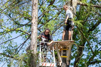 Kletterwald an der Pöhl: Das ist die neue Attraktion ab Pfingsten - Hoch oben im Einsatz: Die beiden BKA-Mitarbeiter Leon Zimmer und Stefan Müller (von links) installieren Elemente für den Höhenweg. Damit soll der Kletterwald an der Talsperre Pöhl aufgewertet werden.