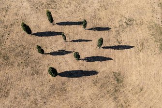 Klimabilanz 2022 für Sachsen: Extrem zu warm, extrem sonnig, deutlich zu trocken -