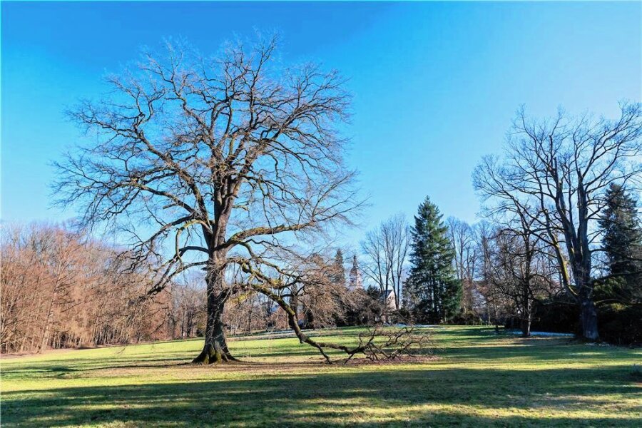 Klimawandel: Für Kur von Schlosspark in Wechselburg gibt es Millionenbetrag - Der Schlosspark Wechselburg soll fit für die Zukunft gemacht werden. Dafür gibt es Fördergeld. 