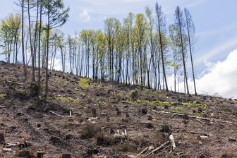 Klimawandel in der Region - Wissenschaft soll helfen -