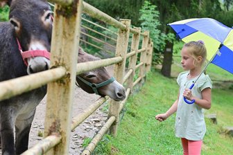Klingenthal: Warum das im Juni abgesagte Tierparkfest jetzt stattfand - Der Regen verhinderte, dass nicht mehr Besucher zum Tierparkfest kamen.