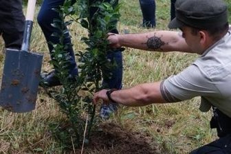 Klingenthal wird zum Wandermekka - Sachsens Ministerpräsident Michael Kretschmer pflanzte im Arboretum eine Stechpalme.
