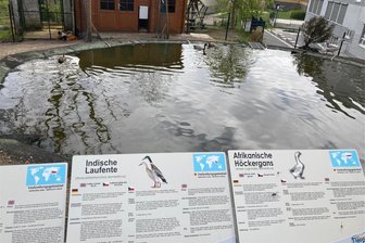 Klingenthaler Tierpark sagt für Anfang Juni geplantes Fest ab - Die neue Schilder im Klingenthaler Tierpark. Das für Juni geplante Fest fällt in diesem Jahr aus.
