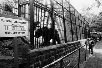 Klippschliefer und Perlhühner ziehen in die Bärenanlage im Chemnitzer Tierpark - Heute werden dort keine Bären mehr gehalten: Die Anlage im Jahr 1991.
