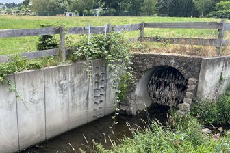 Kloake vor der Haustür: Fäkalien fließen in den Brauselochbach in Burgstädt - Am Einlauf zum Brauselochbach hängen Toilettenpapierfetzen – Indiz dafür, dass das Regenüberlaufbecken bei Starkregen das Mischwasser nicht speichern konnte.