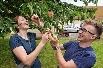 Kloster Altzella: Ein Markt, der alle Sinne weckt - Auch das war beim Nossener Blumen- und Pflanzenmarkt möglich: kleine Kostprobe der Kirschen im Gelände: Luise Strauß und Yanik Kuban.