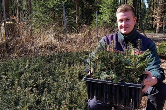 Klotzen statt Kleckern: 26.000 Bäume werden im Adorfer Stadtwald gepflanzt - Die Weißtanne ist der wichtigste Baum, der im Forstbezirk Adorf dieses Frühjahr gepflanzt wird. 78.000 Weißtannen-Setzlinge kommen in die Erde. Auch im Adorfer Stadtwald dominieren Weißtannen bei den Neupflanzungen. Im Bild: Paul Pietrock vom Forstbezirk.