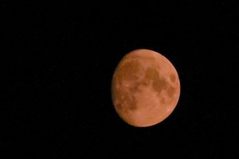 Knallorangener Mond, tiefrote Sonne über Sachsen: So beunruhigend ist dieses Phänomen - Tim Meyer gelang diese Aufnahme des blut-orangenen Mondes über Nordsachsen in der Nacht zu Sonntag.
