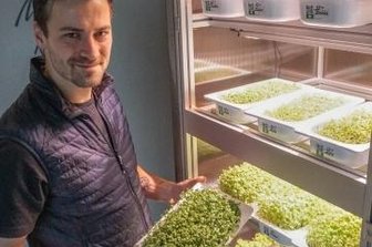 Kochshow-Gewinner zieht seine eigene Kresse - Kevin Seidel vom Lokalfilet, gerade zum Gewinner der Vogtland-Ausgabe von "Mein Lokal, Dein Lokal" gekürt, vor seiner eigenen Kressezucht.