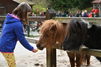 Köbefest: Großer Tag im kleinsten Zoo Ostdeutschlands - Das Köbefest im Naturpark Köbe wird am 26. Mai gefeiert. Die Tiere warten dann auf kleine Leckereien.