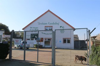 „Köche mit Herz“ unterstützen Tierheim Kandelhof - Das Tierheim Kandelhof.
