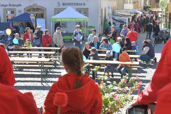 Kommentar: Der Tag der erneuerbaren Energien darf nicht sterben - Am Samstag feierte Oederan zum 30. Mal den Energietag mit Frühlingsfest und Naturmarkt.