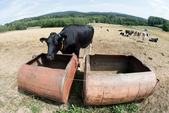 Kommentar: Die Natur sagt denkste – damit Deutschland beim Wasser auch in Zukunft nicht in die Röhre guckt - Nicht nur für Menschen, auch für Tiere sind lang anhaltende Trockenheiten eine massive Gefahr.