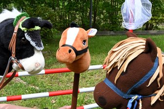 Kommentar zu Anfeindungen beim Hobby Horsing in Hainichen: Da hört der Spaß auf - Hobby Horsing ist Reiten mit dem Steckenpferd. Das tut doch keinem weh.