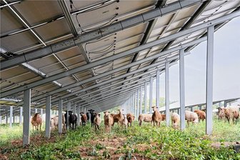 Kommentar zu den Solarpark-Plänen in Oederan: Was Robert Habeck in Gahlenz lernen könnte - Beispiel für eine Fotovoltaikanlage der Firma Münch. Eine ähnliche Anlage ist in Gahlenz angedacht. Foto: M. Münch Elektrotechnik