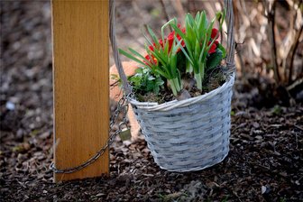 Kommentar zum Blumenklau auf dem Zwickauer Friedhof: Hände weg von fremden Gräbern! - Ein taugliches Mittel, um dem Blumenklau auf dem Friedhof vorzubeugen? Ein am Holzkreuz angeketteter Blumenkorb.