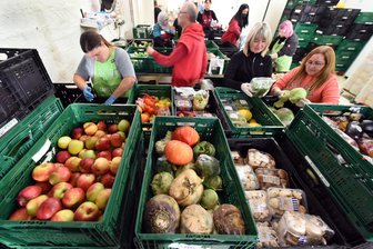 Kommentar zum „Containern“: Es gibt eine bessere Idee - In einer Ausgabestelle der Leipziger Tafel e.V. im Westen von Leipzig: Die Tafeln könnten mehr Lebensmittel brauchen, als ihnen zur Verfügung stehen.
