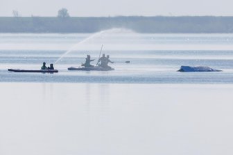 Kommentar zum Wal-Drama: Weshalb uns das Schicksal von Timmy so bewegt - Retter bespritzen den gestrandeten Buckelwal Timmy vor der Insel Poel mit Wasser.