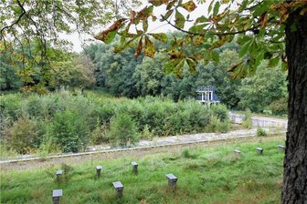 Kommentar zur Ablehnung des Lichtensteiner Naturbad-Projekts: Angst vor der eigenen Courage - Die Natur hat sich das frühere Stadtbad-Gelände längst zurückgeholt - so sah es 2011 dort aus.