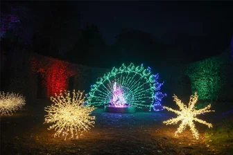 Kommentar zur erneuten Absage der Lumagica in Lichtenwalde: Herber Rückschlag für Patrizia Meyn - Die Lichterschau im Winter 2022/23 war der Renner. Eine Fortsetzung wird es in Lichtenwalde nicht geben.