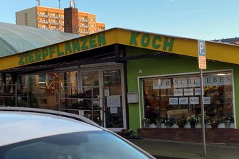 Kommentar zur Schließung von Zierpflanzen Koch in Hohenstein-Ernstthal: Ein wenig Dolce Vita - Zierpflanzen Koch schließt zum Jahresende.